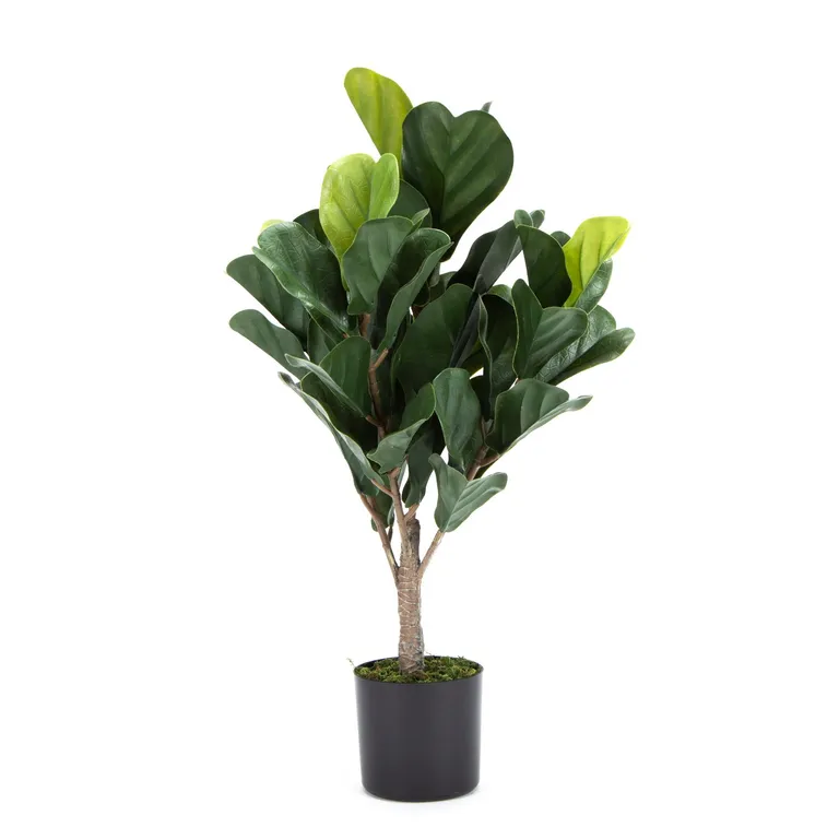 MICA Planta Artificial Ficus Lirata 66 Cm