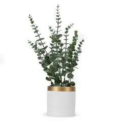 MICA - Eucalipto 55Cm