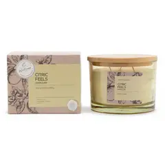ROBERTA ALLEN - Vela Aromática 280 gr Citric Feels Limón y Lima