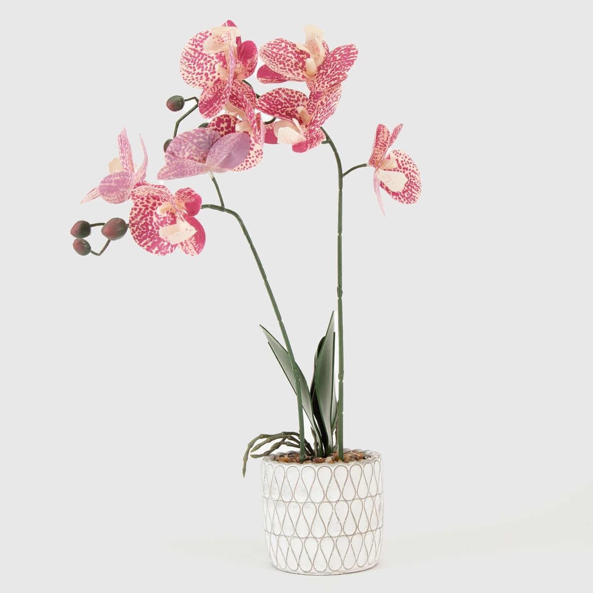 MICA - Planta M Orchid Mica