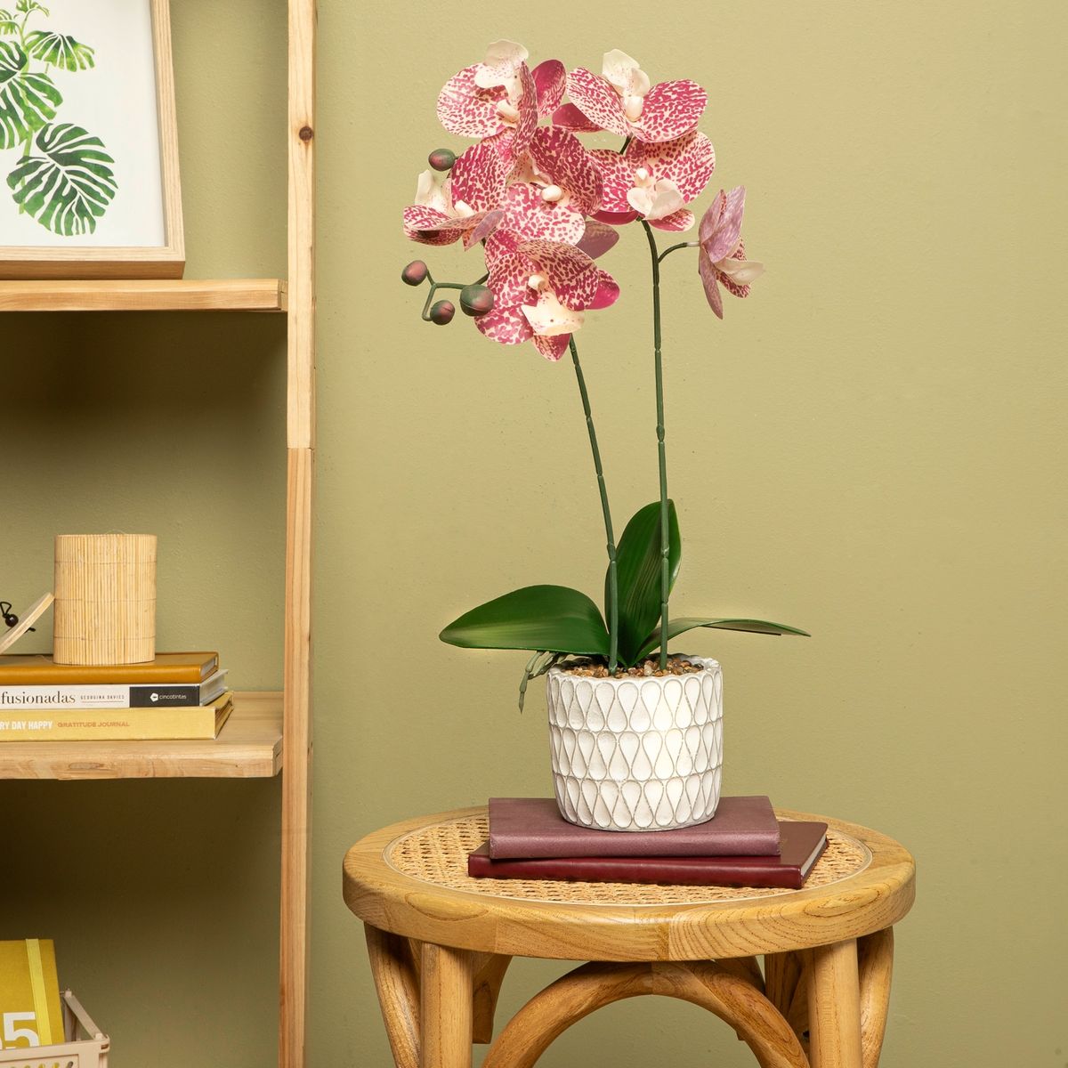 MICA - Planta M Orchid Mica