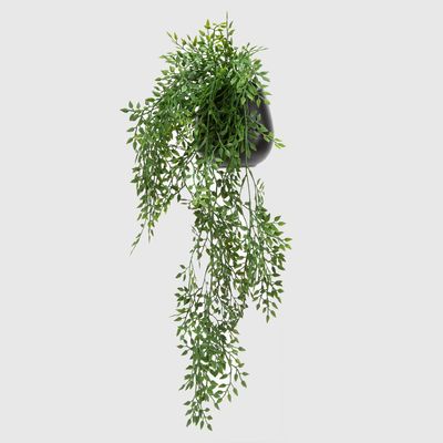 Imagen 2 del producto Planta Artificial Colgante Syzygium 56 Cm