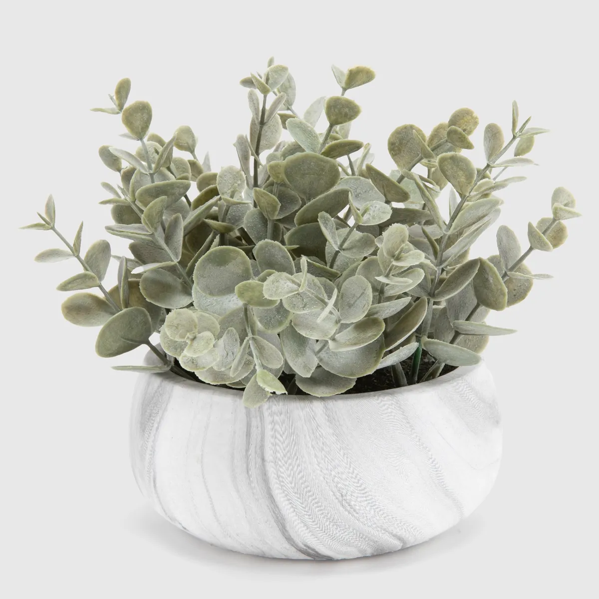 MICA - Planta S Eucalipto Mica