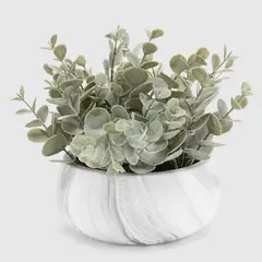 MICA - Planta S Eucalipto
