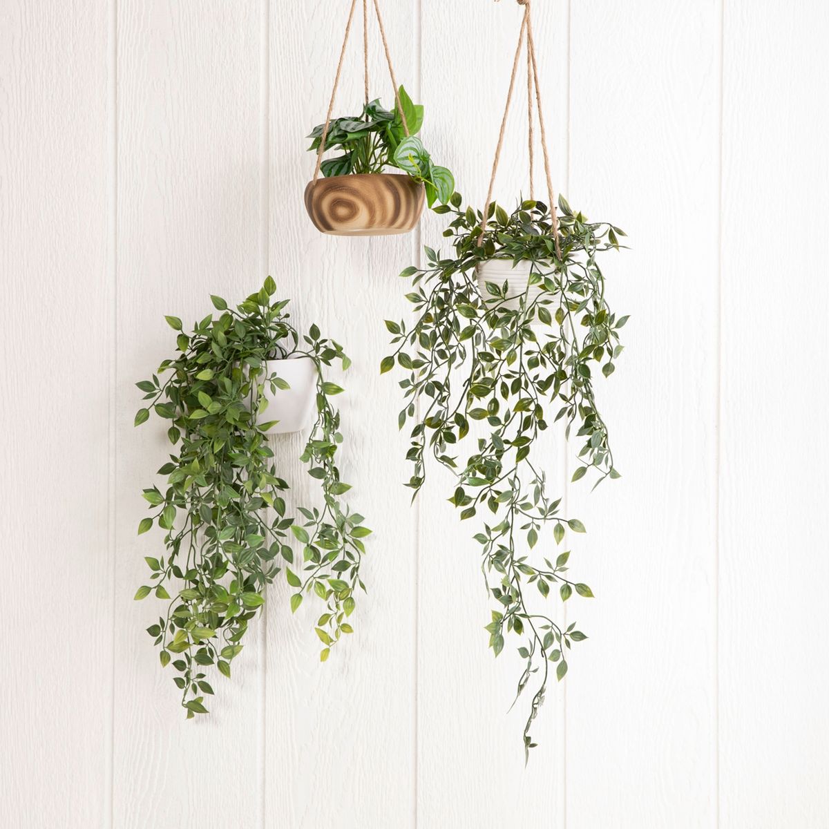 MICA - Plantas S Colgante Mica