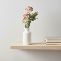 Planta Artificial Evodia 31X7 Cm