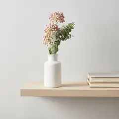 MICA - Plantas M Evodia