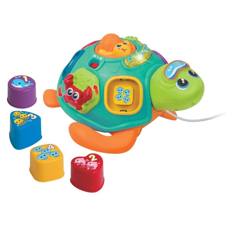 WINFUN Juguete Intercativo Tortuga