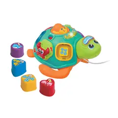 WINFUN - Tortuga