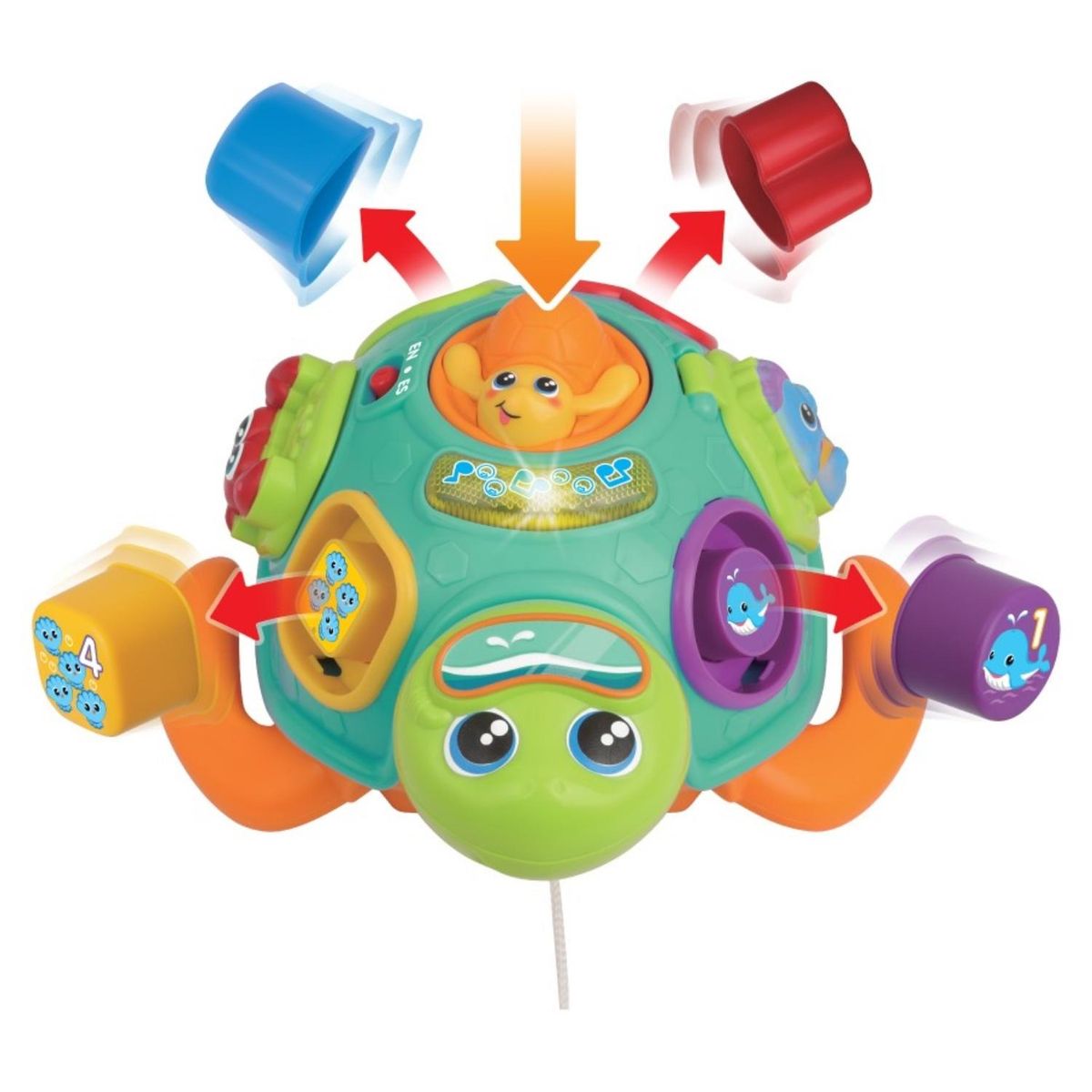 WINFUN - Tortuga Winfun