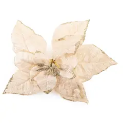 MICA - Poinset Tia Champagne 28 Cm