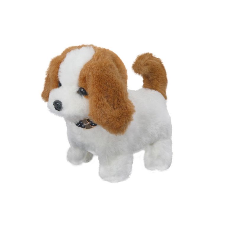 KIDS N PLAY Maleta Mascota Aqua + 6 Accesorios Perro