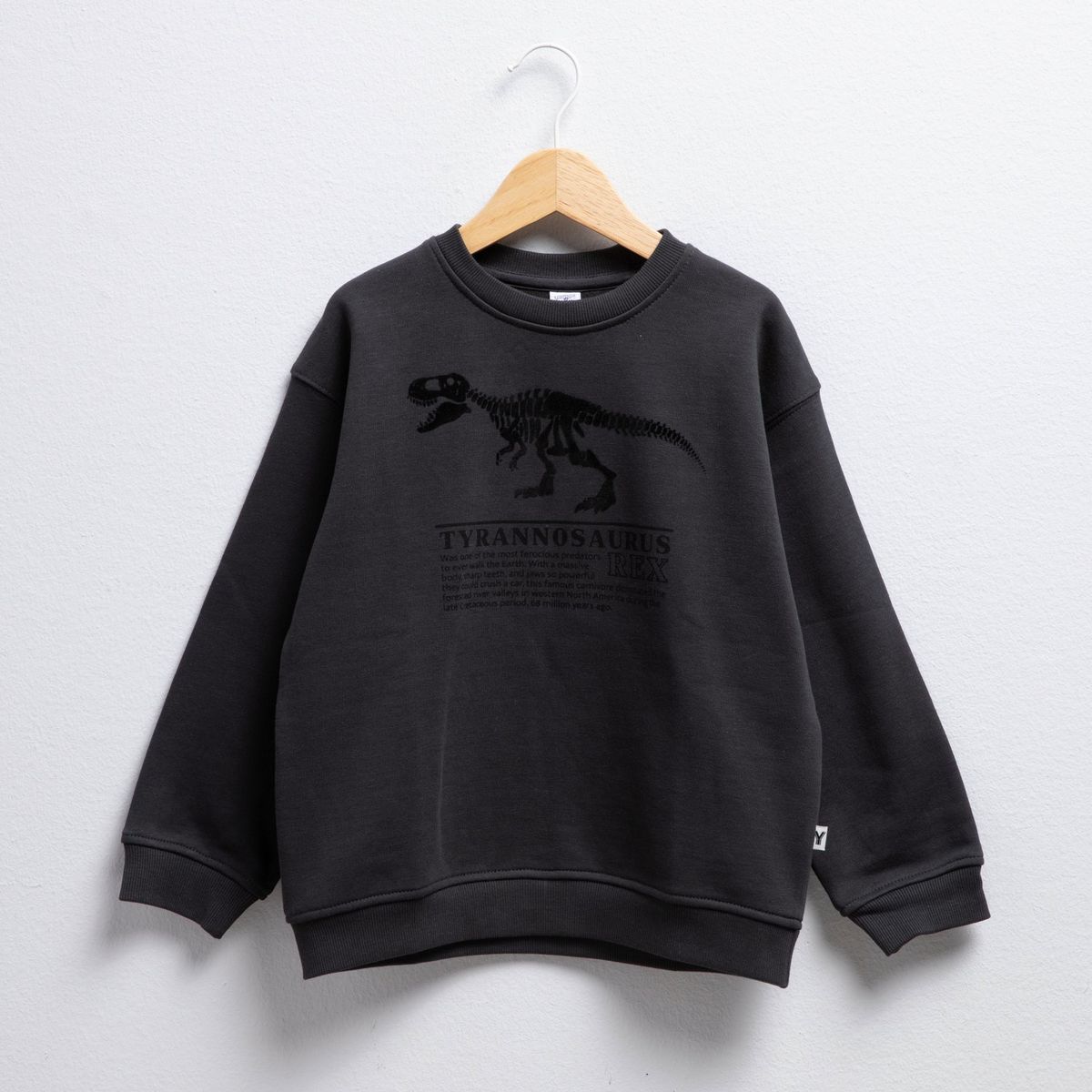 YAMP - Polerón Yamp Triceratops Niño Polialgodón Manga Larga