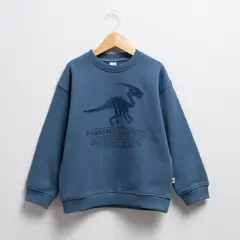YAMP - Polerón Triceratops Niño Polialgodón Manga Larga