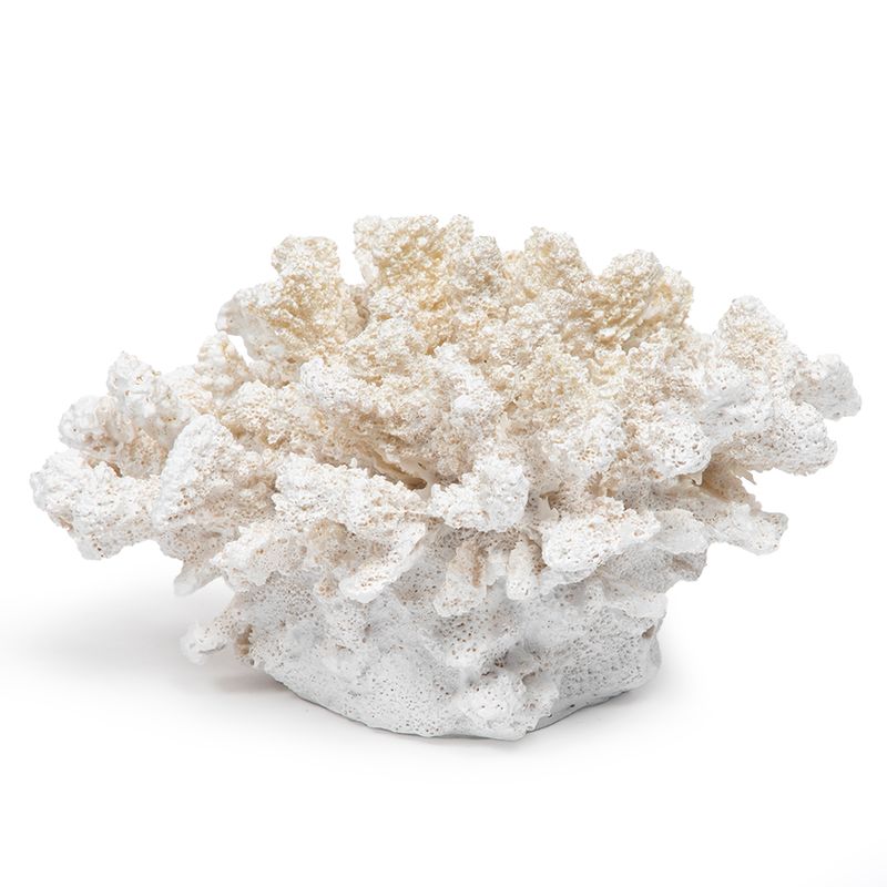 BASEMENT HOME - Coral Blanco 19X16X10Cm Basement Home
