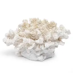 BASEMENT HOME - Coral Blanco 19X16X10Cm