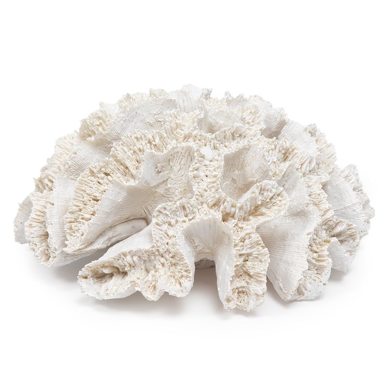BASEMENT HOME - Coral Blanco 16X18X9 Cm Basement Home