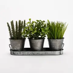 MICA - Planta Pot Packx3 Bandeja 36.8Cm