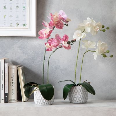 Imagen 2 del producto Planta Artificial Flor Orquídea 47 Cm