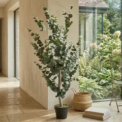 MICA - Planta Grande Eucalipto 120 Cm