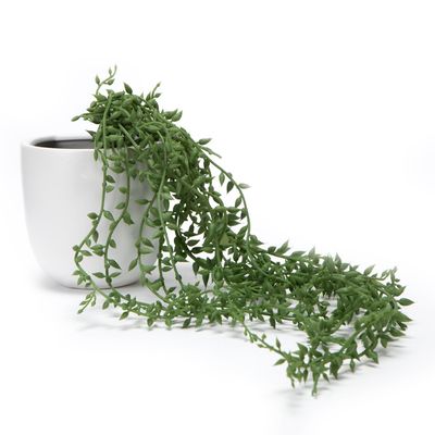 Imagen 2 del producto Planta Artificial Colgante Paloverde 50 Cm Con Macetero