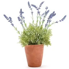 MICA - Planta Pot Terracota 45Cm