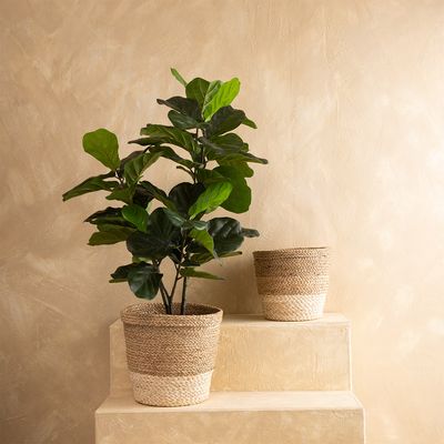 Imagen 2 del producto Canasto Rush M 28Cm