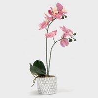 Planta Artificial Flor Orquídea 47 Cm
