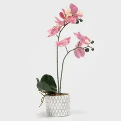 MICA - Orquidea Palida Rose 47Cm