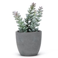 Planta Artificial Suculenta Con Macetero