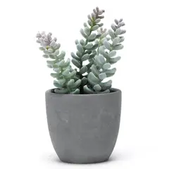 MICA - Suculentas Pot
