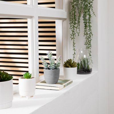 Imagen 2 del producto Planta Artificial Suculenta Con Macetero