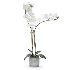 MICA - ORQUIDEA BCA 52CM