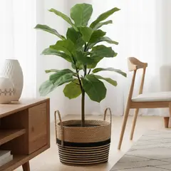 MICA - Canasto de Rattán con Diseño Líneas Negras 28x38cm