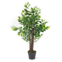 Planta Grande Ficus 90cm