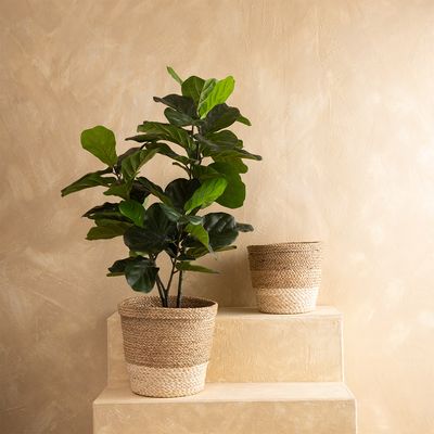 Imagen 2 del producto Canasto Rush L 33cm