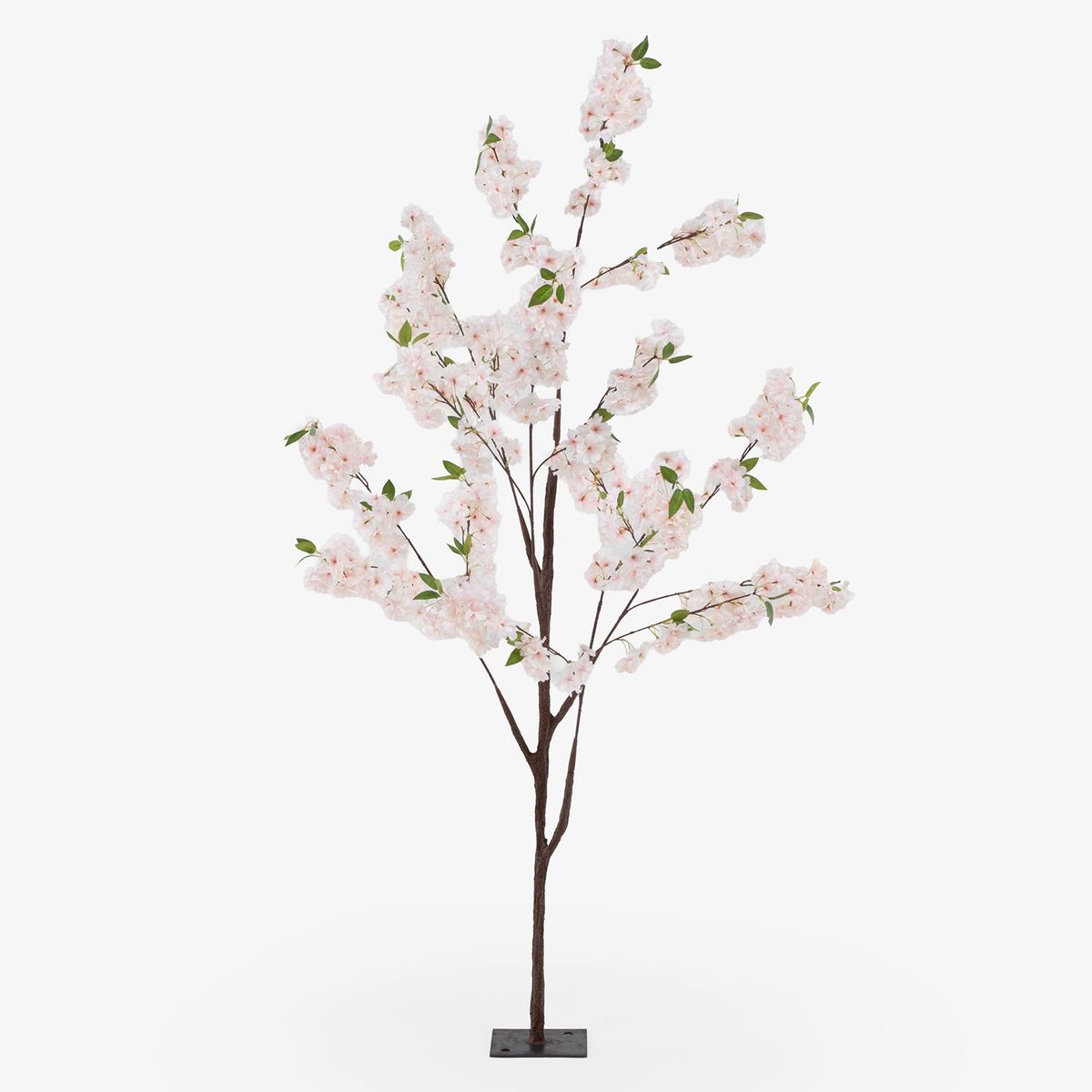 MICA - Árbol Buganvilia Rosado 1.8M Mica