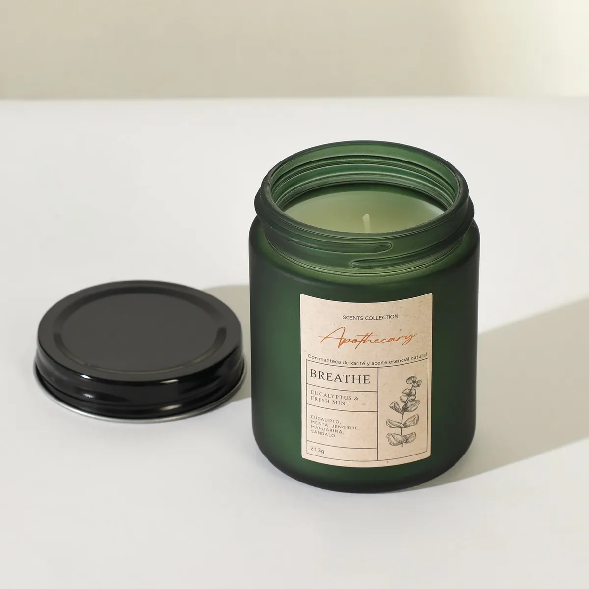 BASEMENT HOME - Vela Eucalyptus & Fresh Mint 213G Basement Home