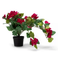 MICA - Planta Pot Plastica Fucsia 30.5Cm
