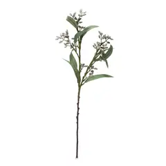 MICA - Rama Veronia 54Cm