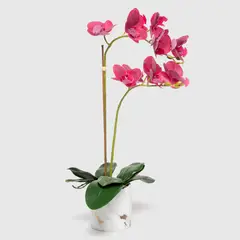 MICA - Orquidea Fucsia 60Cm