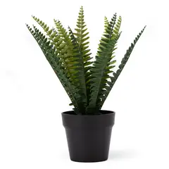 MICA - Planta Pot Plástica Negro 24Cm