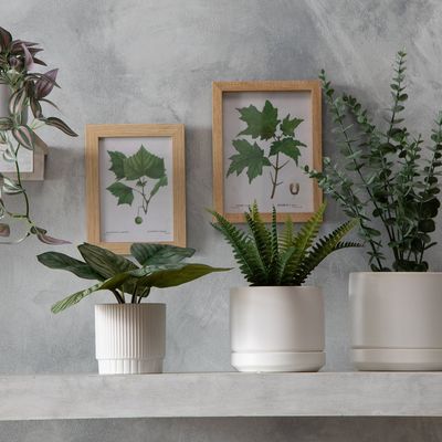 Imagen 2 del producto Planta Artificial Helecho 24 Cm