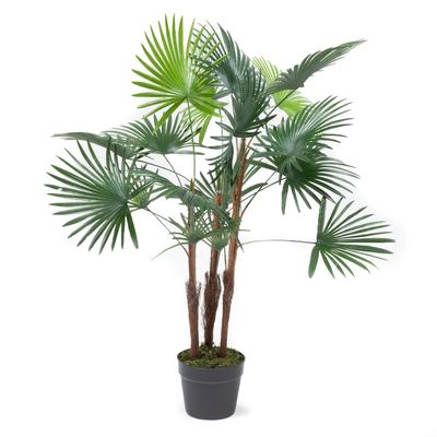 Imagen 2 del producto Planta Artificial Palma 90 Cm