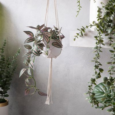 Imagen 2 del producto Planta Artificial Colgante Cebrina 61 Cm Con Macetero