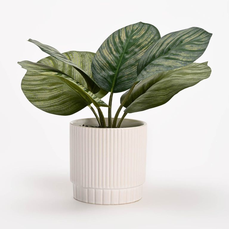 Planta Pot Cerámica Blanco 22Cm