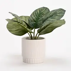 MICA - Planta Pot Cerámica Blanco 22Cm