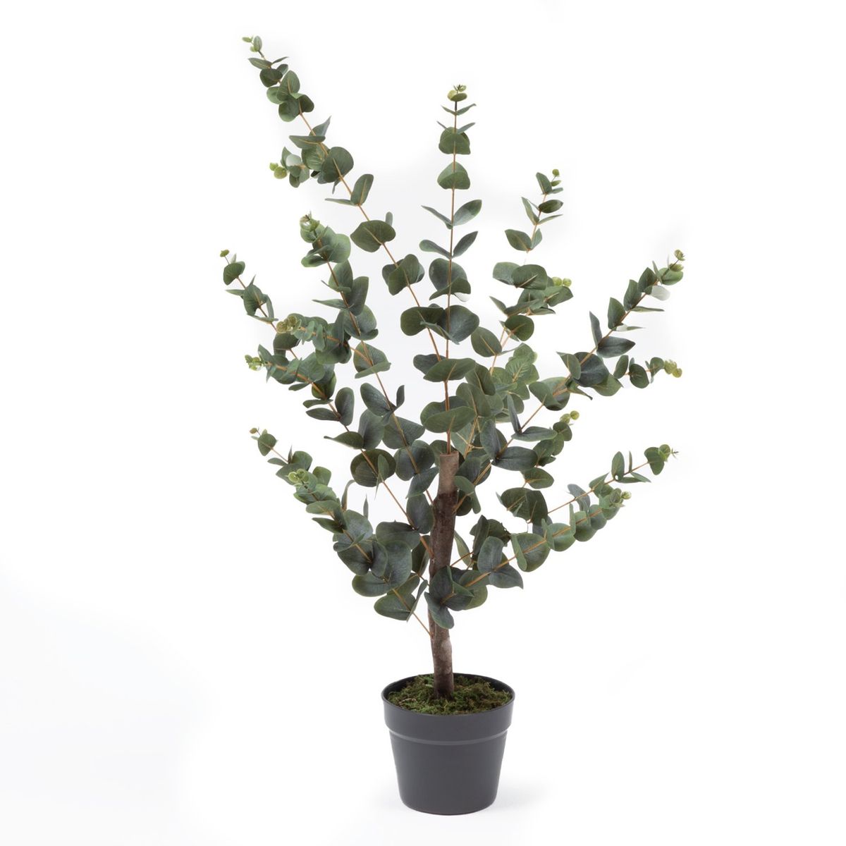MICA - Planta Artificial Eucalipto 95 Cm Mica