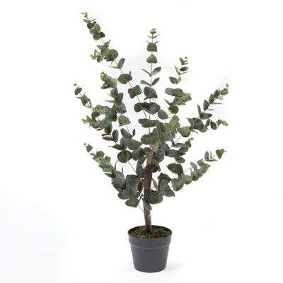 Imagen 2 del producto Planta Artificial Eucalipto 95 Cm
