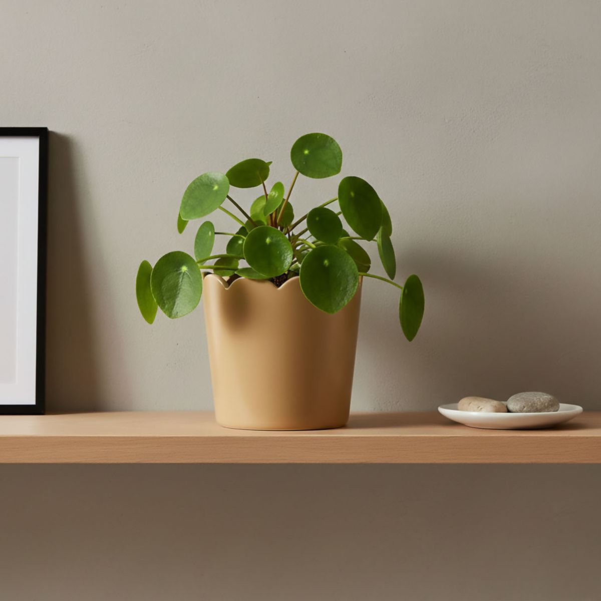 ROBERTA ALLEN - Maceta Beige 16Cm Roberta Allen